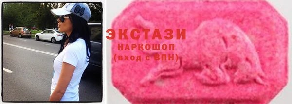 гашик Осинники