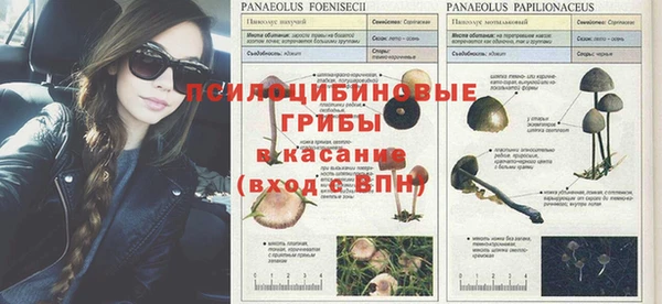 альфа пвп Остров
