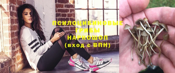 эйфоретик Бронницы